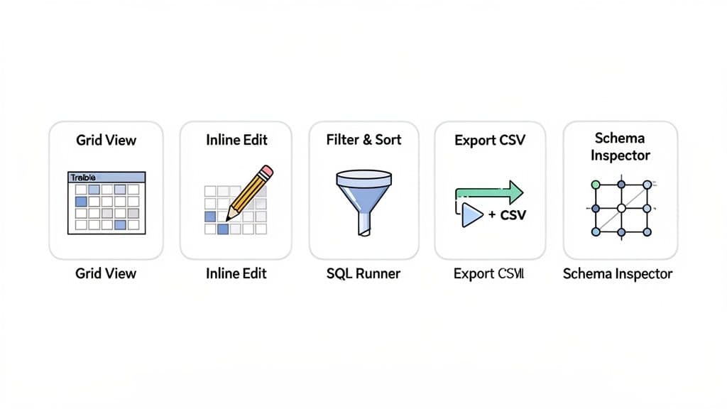 Five icons illustrating database management features: grid view, inline edit, filter, sort, export CSV, and schema inspection.