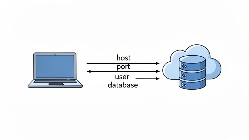 A laptop connects to a cloud database, illustrating connection parameters like host, port, user, and database.