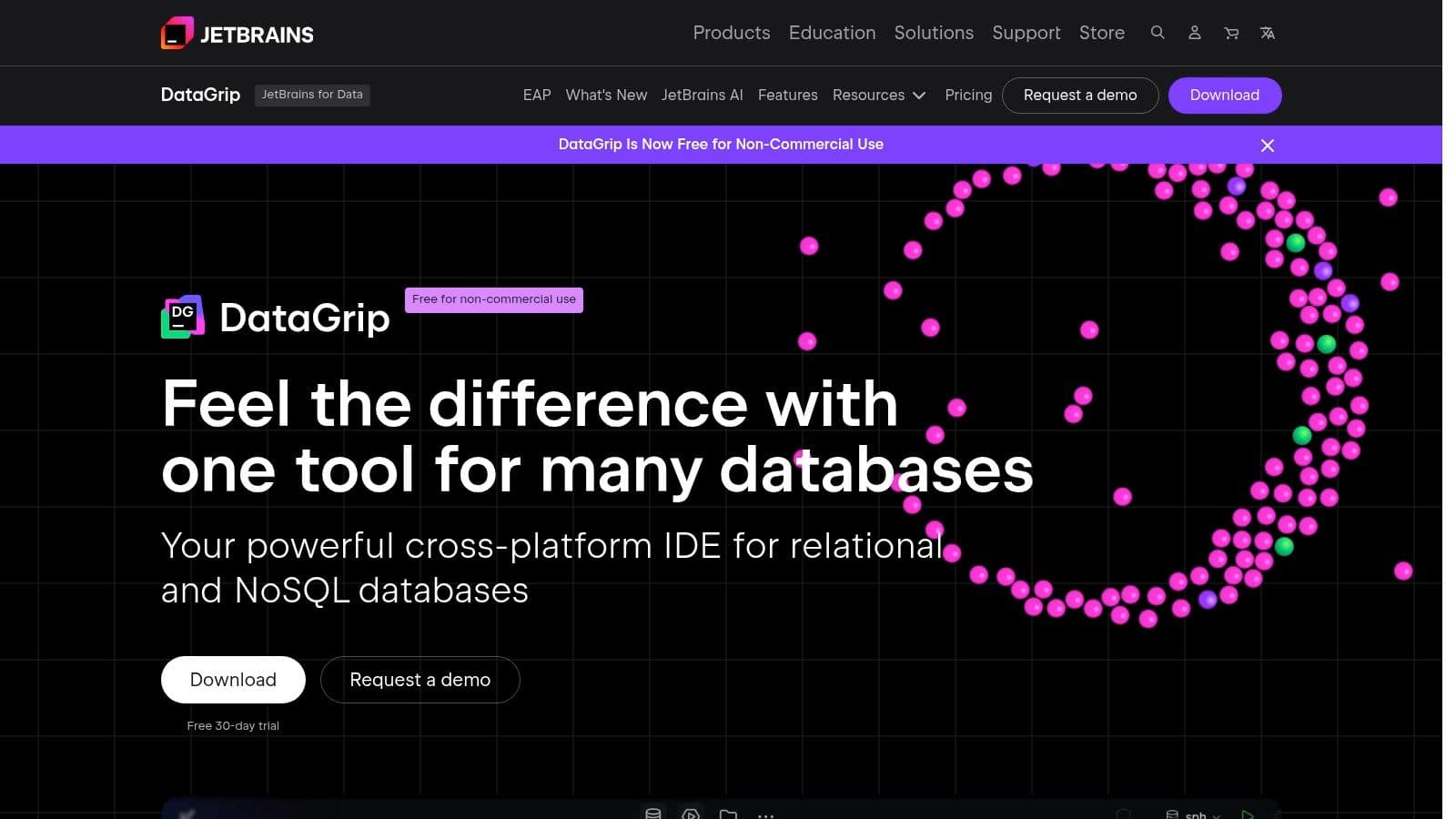 JetBrains DataGrip